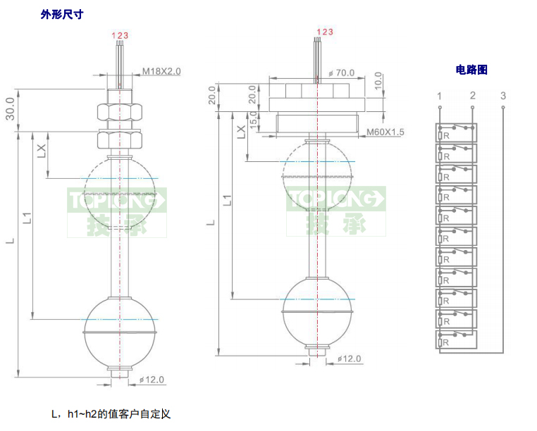 2260型直桿式液位計（開關）